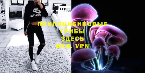 хмурый Балабаново