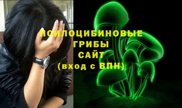 2c-b Балахна