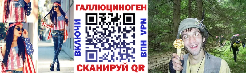 хочу наркоту  Стародуб  Галлюциногенные грибы Cubensis 